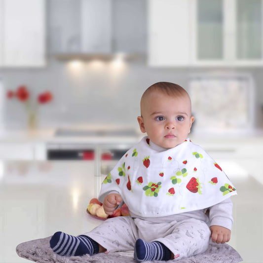Muslin 3-in-1 Burp Cloths Bibs Pacifier Ties, Set of 2